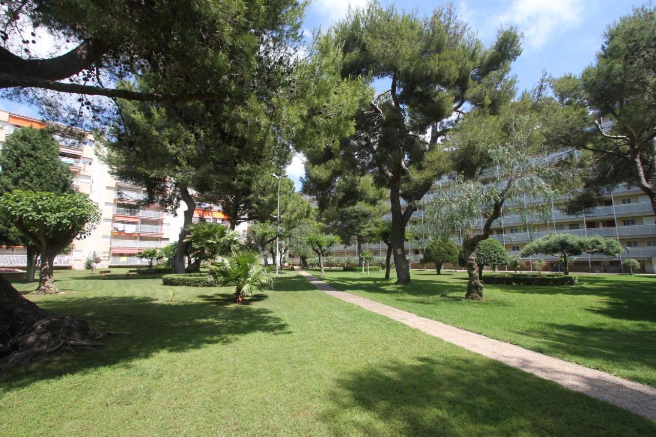 For A Dms Iii * Salou